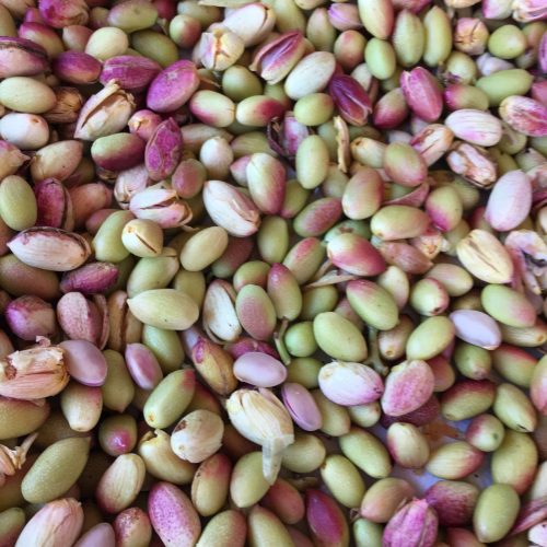 Pistachos recién recolectados